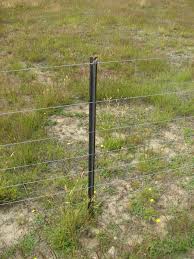 Fence Posts
